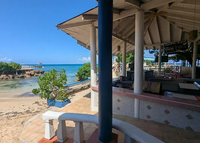 Sojo's Sandy Toes Santuary Runaway Bay