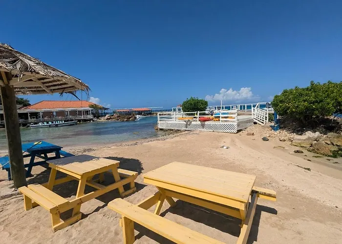 Sojo's Sandy Toes Santuary