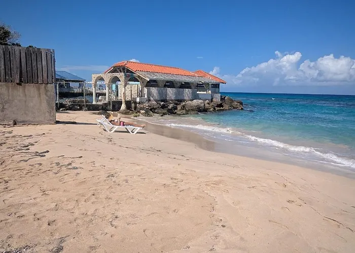 Sojo's Sandy Toes Santuary Runaway Bay