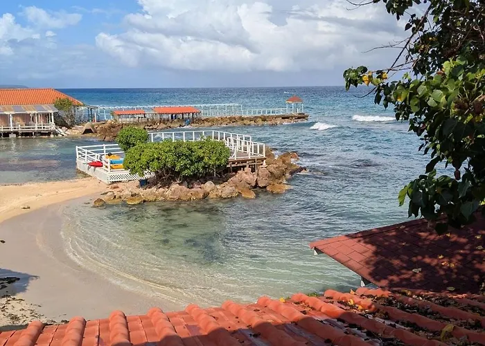 Sojo's Sandy Toes Santuary